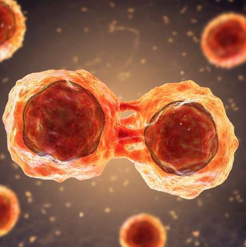 Understanding Congenital Conditions